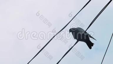 一只孤独的鸽子坐在电<strong>线上</strong>，对着灰色多云的天空。 一只鸽子在电<strong>线上</strong>。 4k. 4k录像。 60英尺