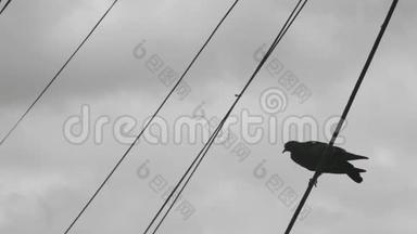 一只孤独的鸽子坐在电线上，对着灰色多云的天空。 一只鸽子在电线上。 4k. 4k录像。 60英尺