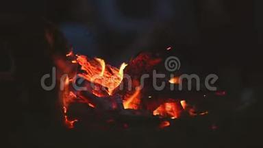 晚上篝火，露营的人背景在草地野炊。 在黑暗中篝火。 燃烧燃料。 慢速视频