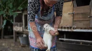 一位年迈的农村妇女手里拿着一只兔子。 这只动物非常害怕，正试图<strong>挣脱</strong>。 兔子农场