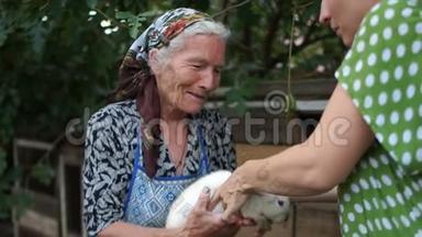 一位老太太把一只兔子交到一个小女孩手里。养兔场、兽医护理、<strong>体检</strong>