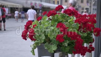 在欧洲城市中心<strong>的街道</strong>生活，通过红花，人们在后台沿着<strong>街道</strong>散步，并采取。
