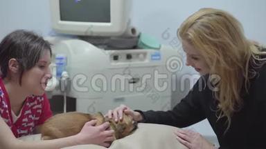 兽医和金发美女主人<strong>抚摸</strong>躺在桌子旁的小狗。 动物治疗概念。 小狗