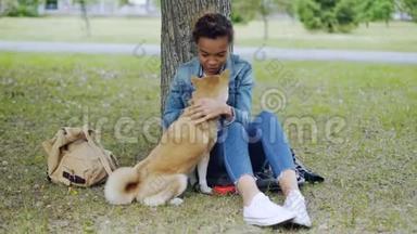 狗主人非裔美国女孩正在喂养西巴伊努小狗，然后在夏天在公园放松。 爱