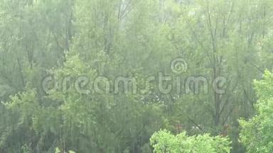 城市里的夏季<strong>大雨</strong>。 在绿树和倾盆<strong>大雨</strong>上俯视。 4K视频