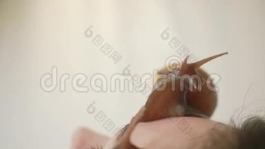 脸上的大蜗牛.. 在水疗中心的年轻女子接受了一个与蜗牛Achatina的面部按摩。 蜗牛吃掉死皮