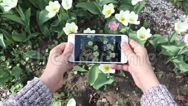 一个十几岁的男孩在春天的花园里用智能手机制作郁金香花的视频或照片