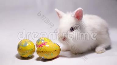可爱的复活节兔子和装饰鸡蛋在白色背景。 小<strong>白兔</strong>。