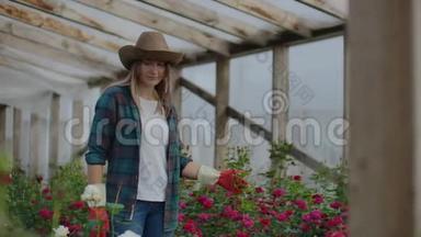 一位女园丁正走在戴着手套的温室里，看着和控制为她的<strong>小生</strong>意种植的玫瑰。 花卉师