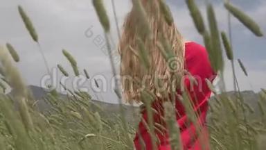 一个年轻的女孩在一片绿色的田野里快乐地慢悠悠地走着，用手<strong>抚摸</strong>着麦穗