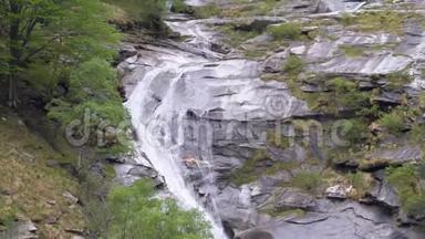 意大利山区的野生瀑布。 在石质地的纯野高地瀑布