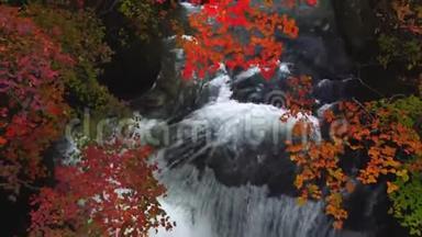 美丽的秋林，有着五彩缤纷的树叶和川流不息的川川