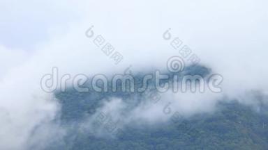 4k雾蒙蒙的早晨，在森林深处的山上，雾从林间山中流过