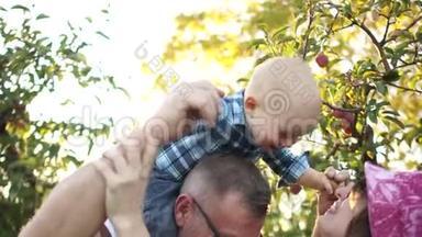 幸福的<strong>一家人</strong>在日落时在苹果园休息。 祖父，<strong>女儿</strong>和孙子。 那个人把婴儿抱在身上