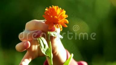 日落时抱着一朵花的女孩