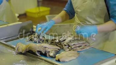 在一家家庭工厂里，工人清洗和处理新鲜的海鱼。 从鱼骨上切下的鱼片