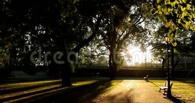 拉脱维亚里加。 阳光与自然阳光和阳光穿过森林树木在广场附近的万苏斜拉