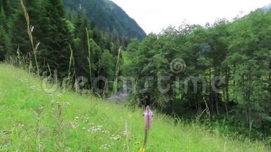 在奥地利阿尔卑斯山的一条山溪上，花在草地上开花。 希勒塔尔河谷