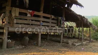 缅甸巴根，一个有牛棚的地方倾斜房屋