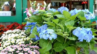 许多多种颜色的新鲜生机勃勃的花在花盆里，成排陈列在一家花店旁边出售。