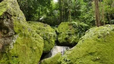 象洞寺的大岩石覆盖着明亮的绿色苔藓和藤本植物
