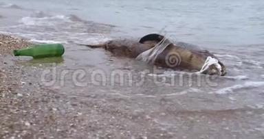 污染水域的死海豚。 海洋污染有毒塑料垃圾..