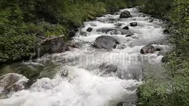 活跃的强流大江.. 水和大石头的流动.. 阿尔泰山河。 阿尔泰保护区的远足
