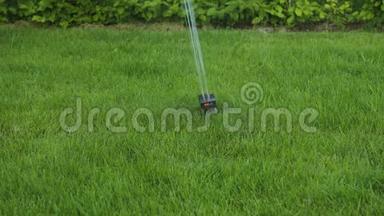 美丽的夏季自动<strong>草坪浇水</strong>过程视图。