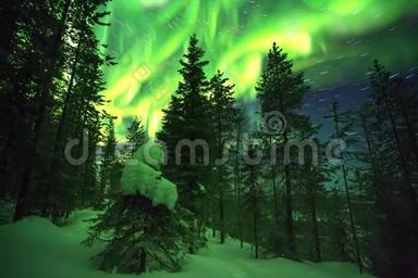 累积时间流逝的森林，星空，星迹和绿色北极光在芬兰蓝领