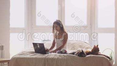 年轻漂亮的女人坐在窗边的床上。 与笔记本电脑合作。 缅因州的猫坐在附近。 3840x2160