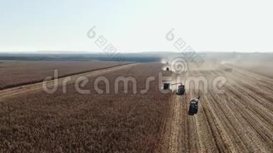 三台收割机在地上。秋天收割玉米。三台收割机在田里工作。联合收割机