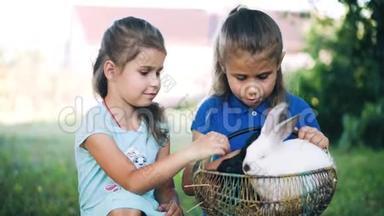 两个快乐的小女孩在户外玩得很开心，和坐在篮子里的两个可爱的小兔子玩耍