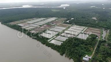 马来西亚渔业和对虾<strong>养殖场</strong>的鸟瞰图