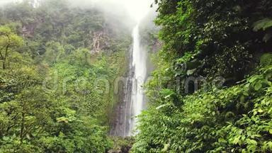 <strong>梦幻</strong>瀑布和神奇的自然。 丛林<strong>森林</strong>里的野河。 加勒比，瓜德罗普。