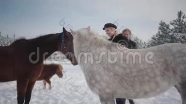 冬天，一对夫妇带着马和小马在农场户外散步。 一男一女<strong>抚摸</strong>着马。