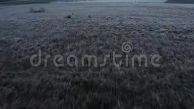 美丽的日出空中镜头揭示了一个冰封的湖泊周围霜冻的高草