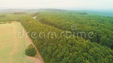 鸟瞰乡村道路之间的硕果累累的田野在左侧和茂密的森林在右侧。 4K.