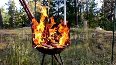 在瑞典的夏季，干燥的木木原木被烧在一个野蛮的容器中的丛林中