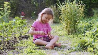 小女孩正在吃草莓，看着坐在草地上的相机。