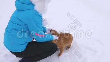 女孩拍狗。 冬天，女主人在街上抚摸她的狗，在白雪上散步。 爱人养宠物。 圣诞节