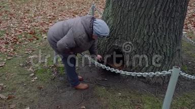 老太太在公园的树底研究树洞