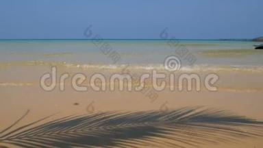 4K. 椰子棕榈树叶影伸展在沙滩上，溅波晶莹清澈的水。 夏季背景