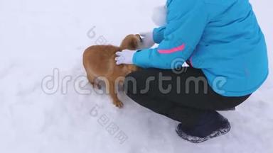 女人在白雪上抚摸红色的狗。 冬天散步时带主人的宠物。 带后代的宠物