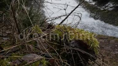 快速流动的<strong>瀑布</strong>背景上的干枝和苔藓，在<strong>风景</strong>如画的<strong>河流</strong>上形成巨大的泡沫