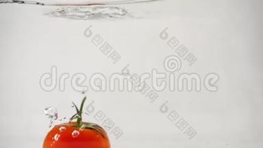 一个成熟的红番茄，左边是白色背景，上面有一根树枝在水下旋转