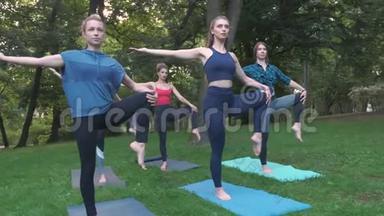公园里的瑜伽或普拉提，一群不同年龄的妇女在早上站着做不同的姿势。团队合作，运动