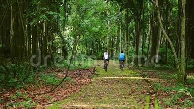 骑自行车穿过热带森林，清晰的地面路径，周围是<strong>过度</strong>生长的植物。