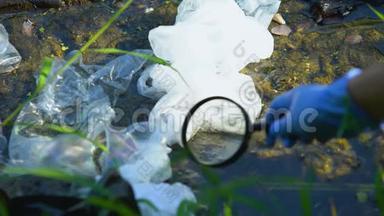 带放大镜的生态学家研究被塑料废料污染的沼泽