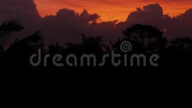 巴厘岛热带雨林的日落景色