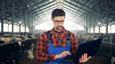 一个人用笔记本电脑工作，走在牛棚里，关门。